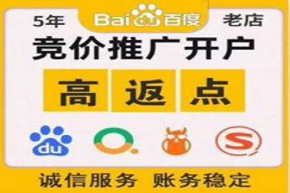SEM专员实战案例解析